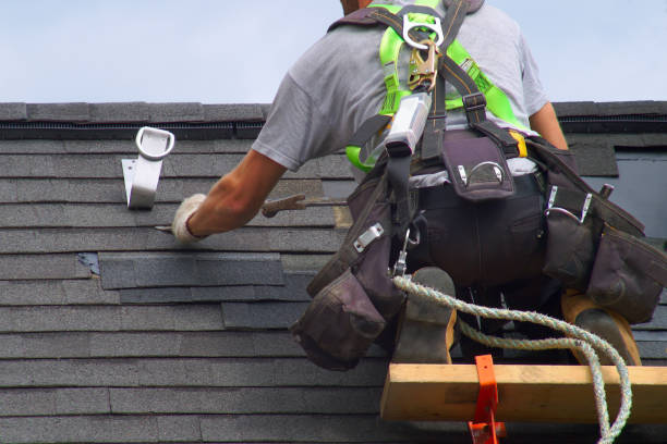 Best Local Roofing Companies  in Eureka, IL