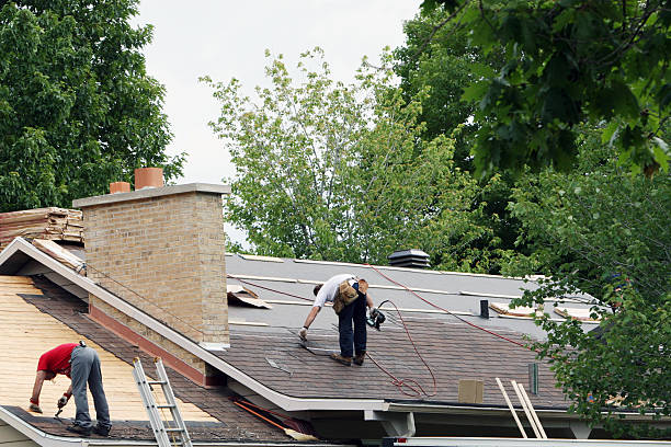 Best Roof Gutter Cleaning  in Eureka, IL